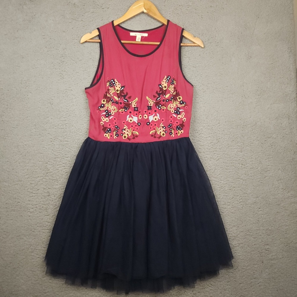 Miami Francesca‎ Dress Medium Pink Embroidered Blue Tulle Ballerina Mini Dress